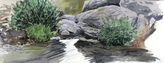 Arroyo I. Alpujarra granadina