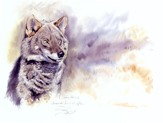 Lobo ibérico. Mirando hacia el futuro