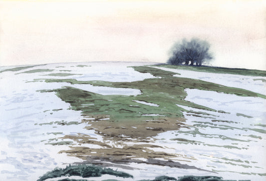 Nevada II. Picos de Europa