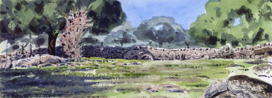 Dehesa y muro. Sierra morena